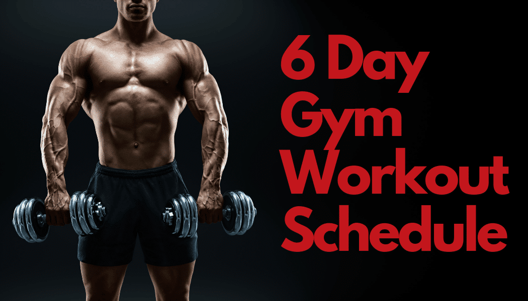 6 day gym workout schedule